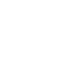 Hive Logo White